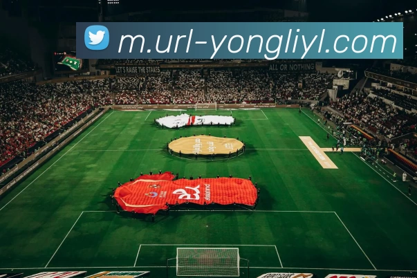 永乐娱乐平台生态图